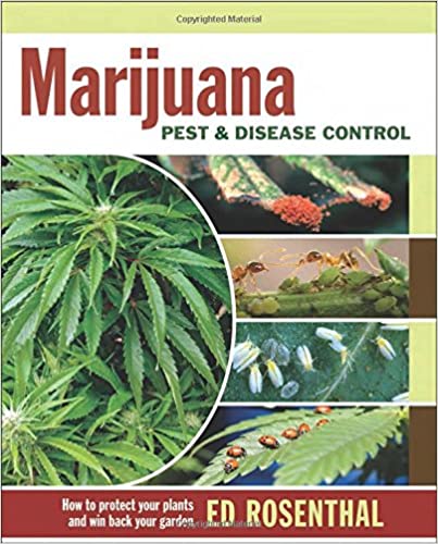 Marijuana Pest & Disease Control: How to Protect Your Plants and Win Back Your Garden